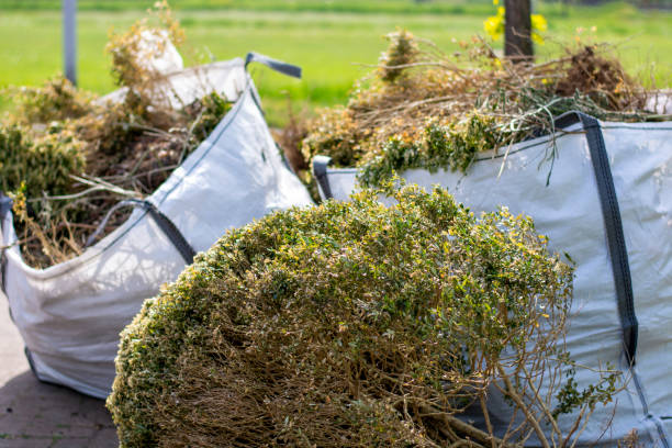 Best Mattress Disposal  in Greenville, KY